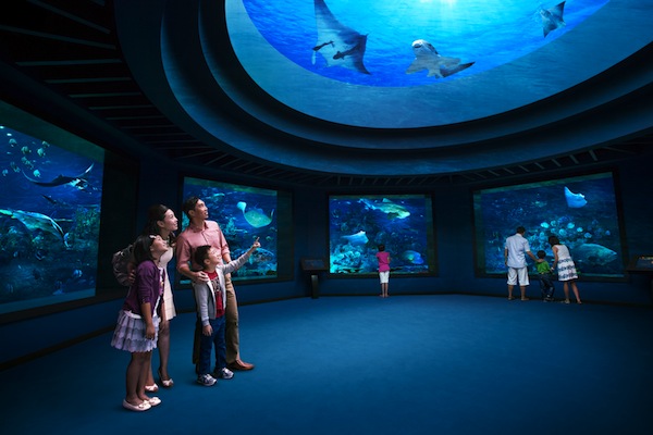 Ocean-Dome