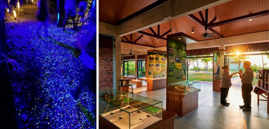 Shangri-La Rasa Ria After Dark Walk and Discovery Centre